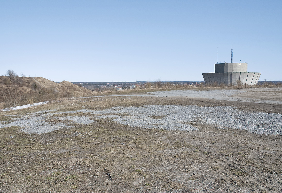 Fagersjö mound, 16,5 x 24 cm 2013