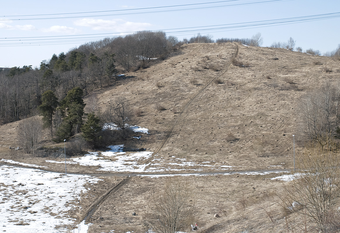 Högdal mound, 16,5 x 24 cm 2013